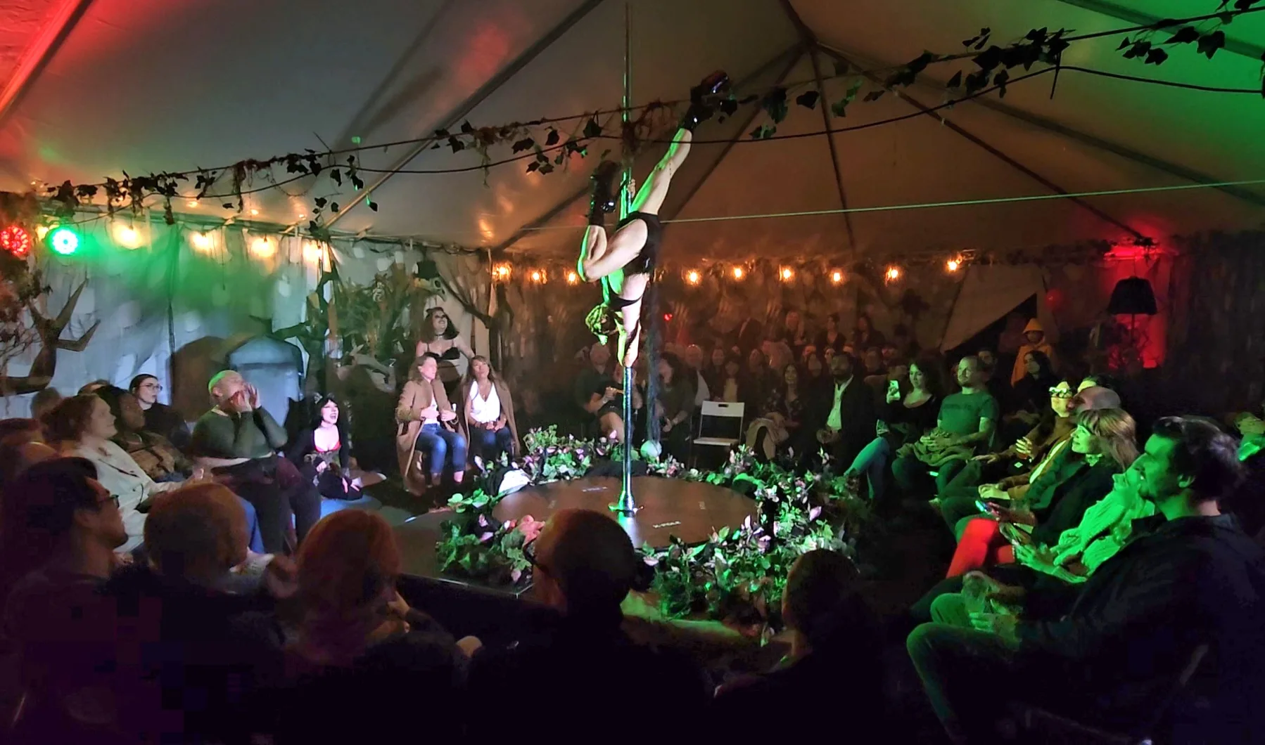 The Shine 2023 - pole performance wide shot